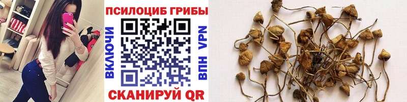 Псилоцибиновые грибы GOLDEN TEACHER  Купить закладки  Колпашево 
